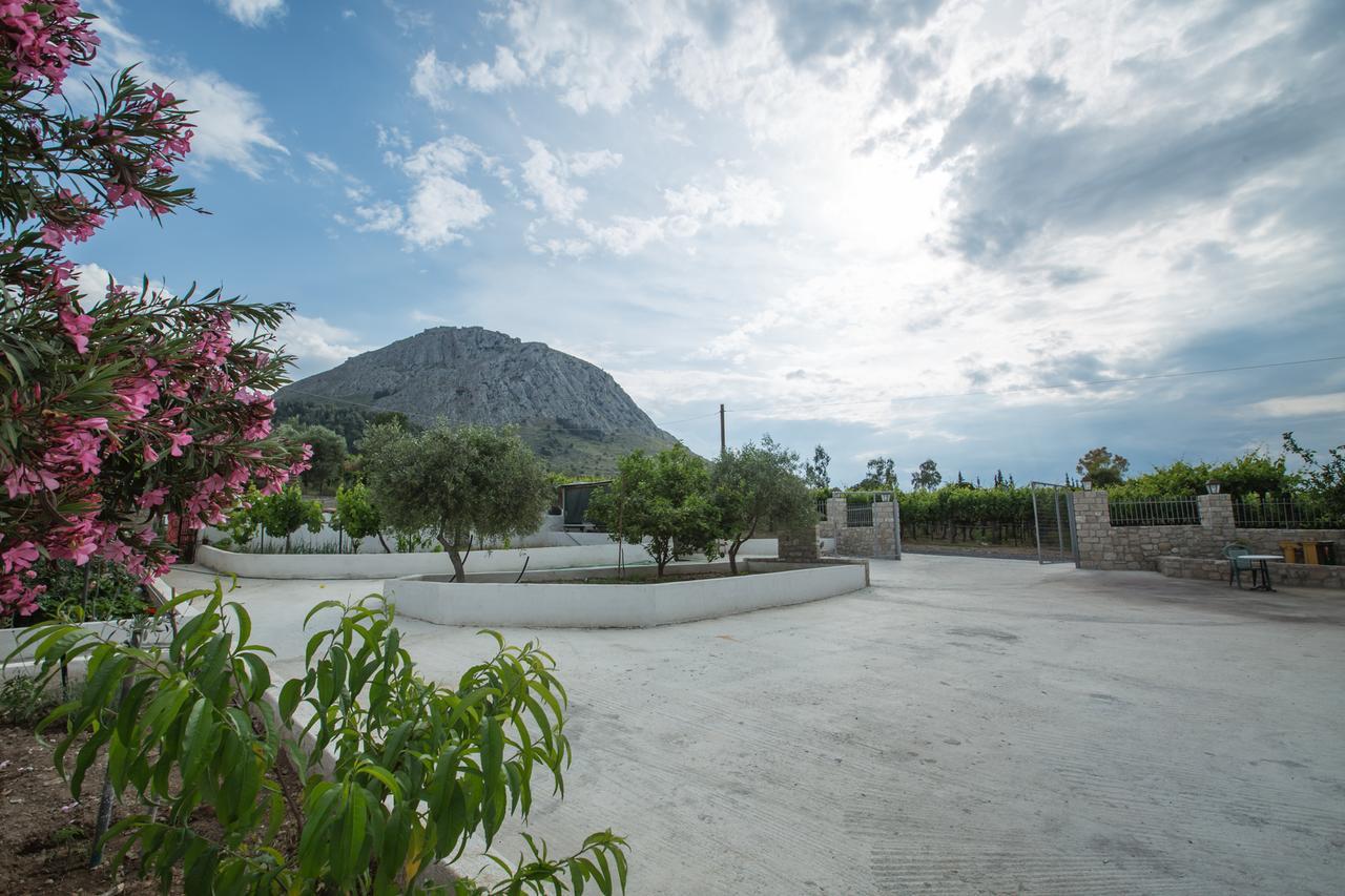 Acrocorinth Apartments Corinth Exterior foto